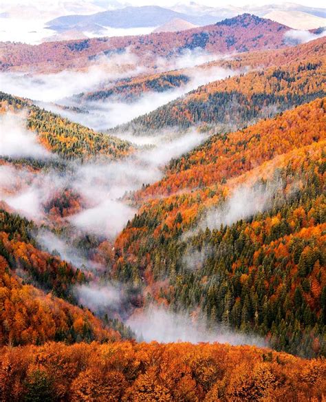 selva de irati verano|Selva de Irati (Navarra) Attraktionen und Bilder